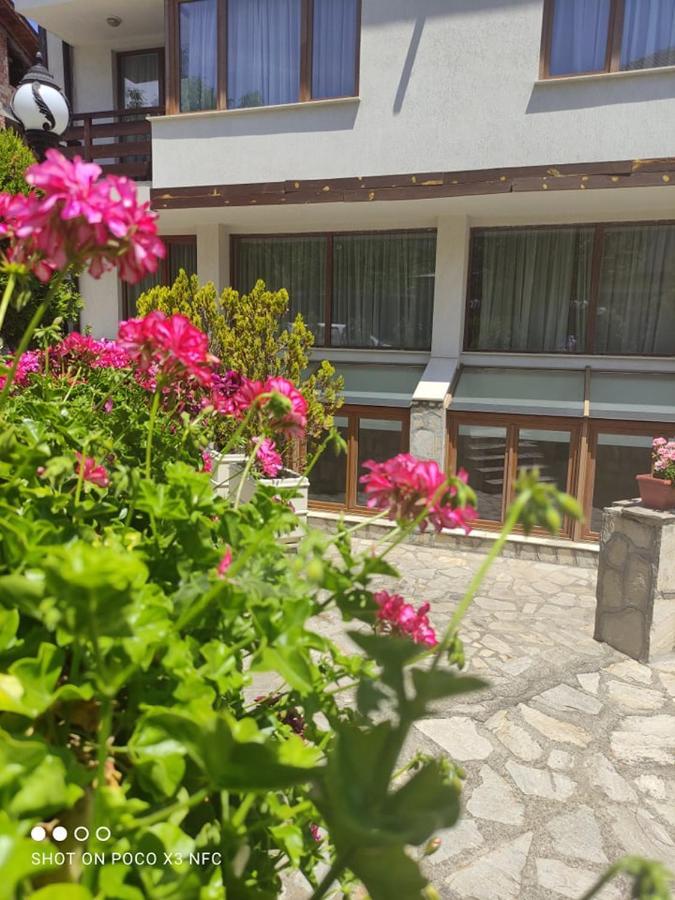 Guest House Ela بانسكو المظهر الخارجي الصورة