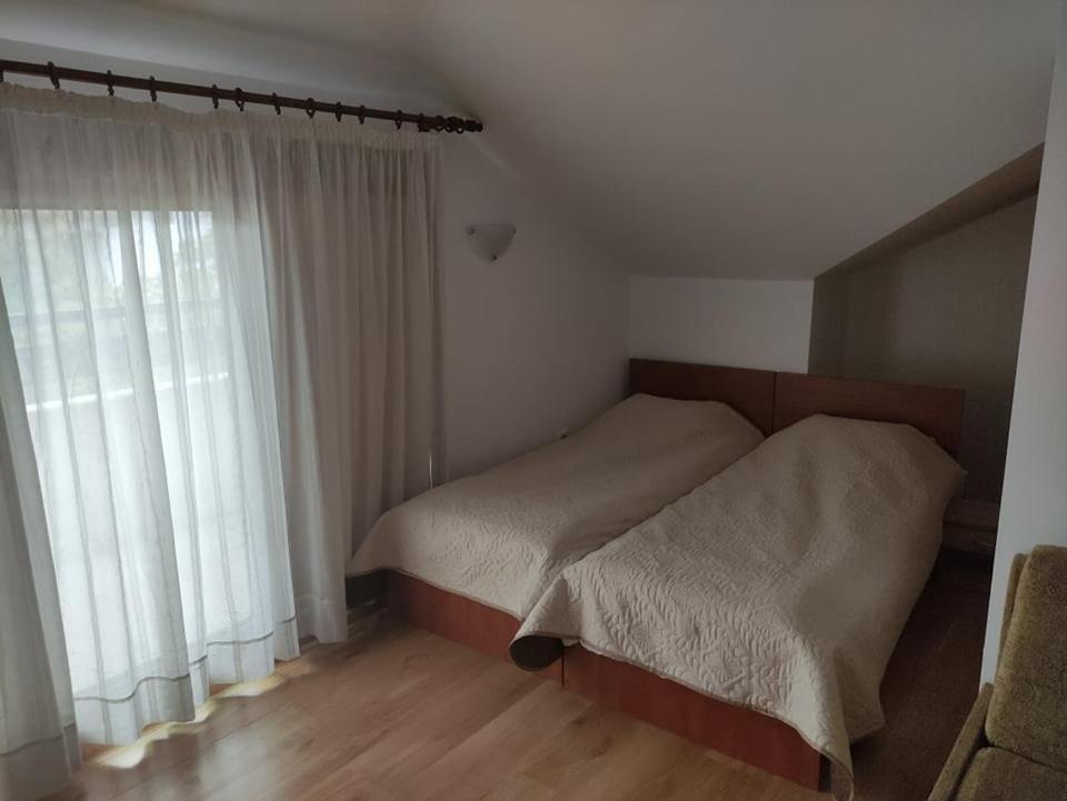Guest House Ela بانسكو المظهر الخارجي الصورة